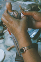 wax13.jpg (21471 bytes)